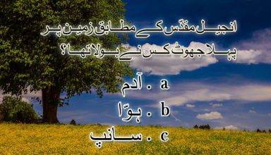 انجیل مقدس کے مطابق زمین پر پہلا جھوٹ کس ںے بولا تھا؟ - زمین پر گناہ کی شروعات