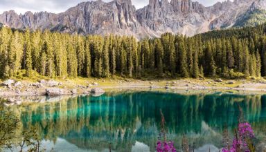 ¿Las leyes de naturaleza y ordenaciones naturales proceden de Dios?