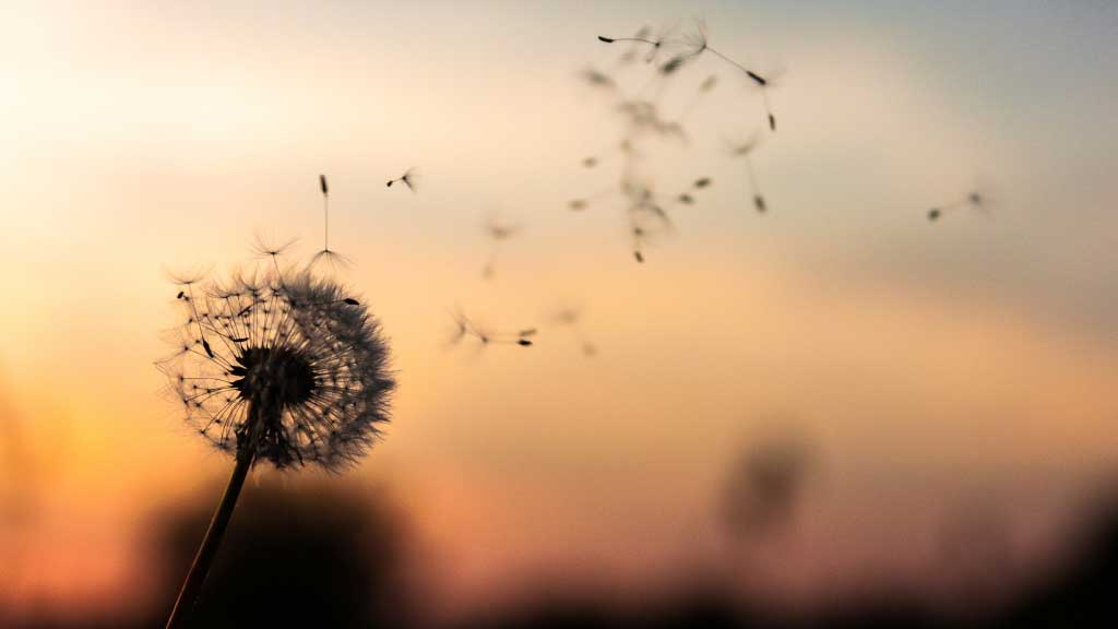 ¿Por qué anhelamos la felicidad? | Nuestro corazón | Deseo infinito | Dios